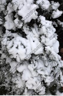 Photo Texture of Frozen Ground  0003